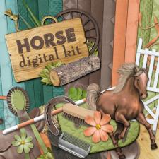 "Horse" digital kit 