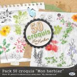 Pack « 50 croquis - Mon herbier  » en téléchargement