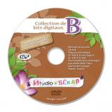 DVD-Rom "Digital kits - Set B"