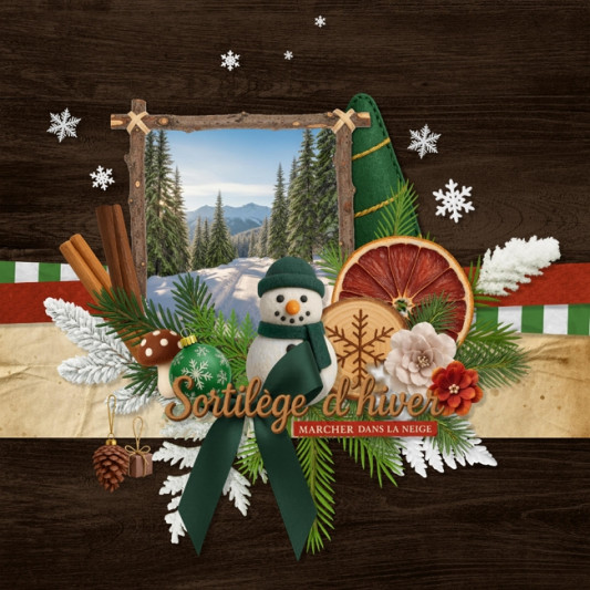 02-cdip-sortir-en-hiver-650