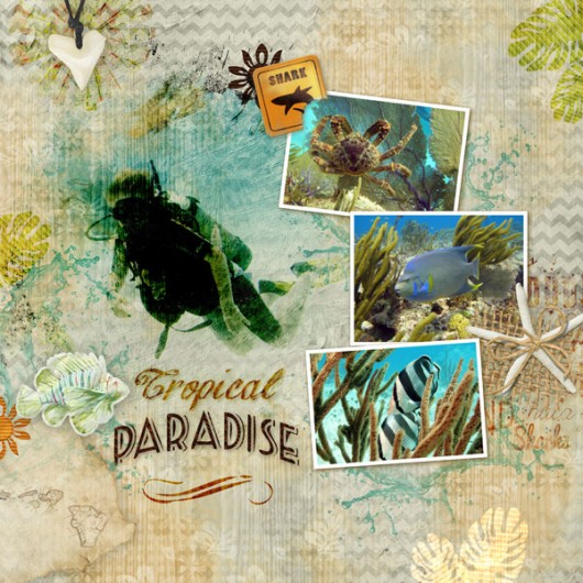 03-arthea-tropical-paradise
