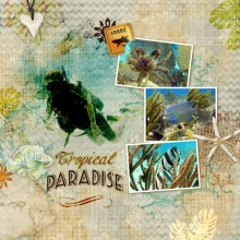 tropical paradise