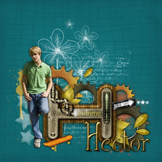 03-cdip-hector
