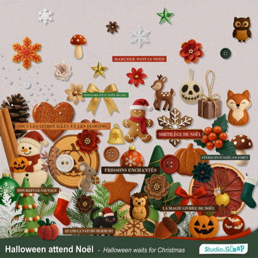 03-kit-halloween-attend-noel-embellissements-650