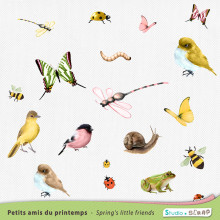 03-kit-petits-amis-du-printemps-embellissements-animaux