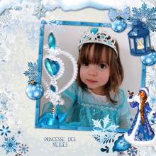 princesse des neiges