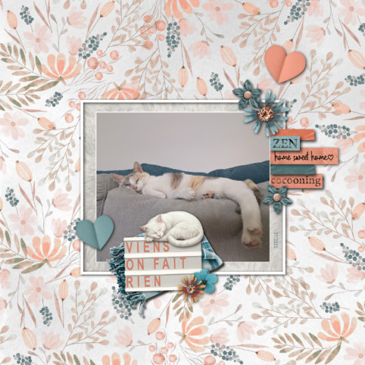 08-peps-scrap-le-repos-du-chat