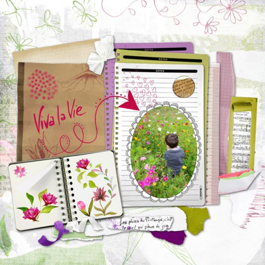 11-Snoopy22-dans-les-cosmos