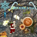 14_defi-noel-2016-deltafdp