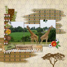 deux girafes
