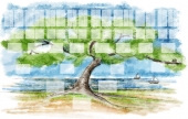 Pack arbre - 01 - arbre-ascendant-mer