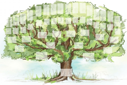 Pack arbre - 01 - arbre-genealogique-6-generations