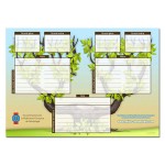 Abre généalogique famille