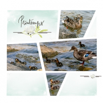 Kit « Souffle printanier » - 13 - Composition