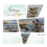 Kit « Souffle printanier » - 13 - Composition