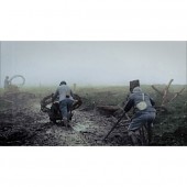 dvd-apocalyse-web
