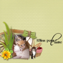 kit week end champetre Felins pour l autre v4 web