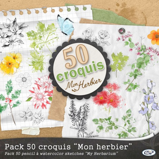 patchwork-50-croquis-Mon-herbier