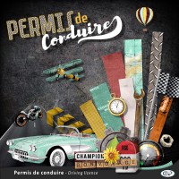 permis-de-conduire-preview