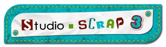 SS3 - 08 - Logo