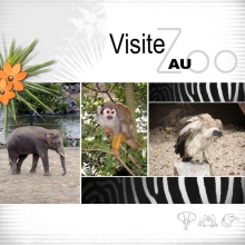 Kit « Bienvenue au zoo » - 10 - Composition