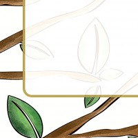 Modeles-arbres - presention - 03 - 02