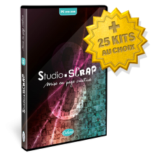 Pack "GIGA" Studio-Scrap 8 Deluxe en coffret+ 25 kits en téléchargement à choisi