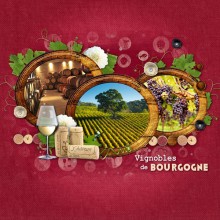 vignobles de Bourgogne