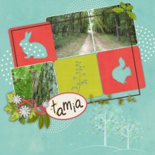 Tamia forest