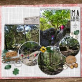 03-larel-foret-sauvage