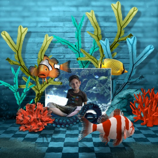 04-julielleclic-aquarium