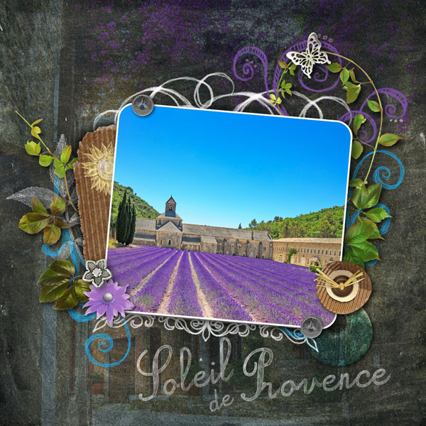 05-cdip-soleil-provence