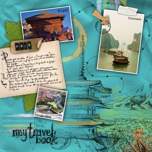 05-cdip-voyage-en-asie-web
