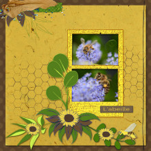 kit objectif ecolo Studio-scrap abeille
