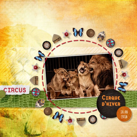 06-cdip-circus
