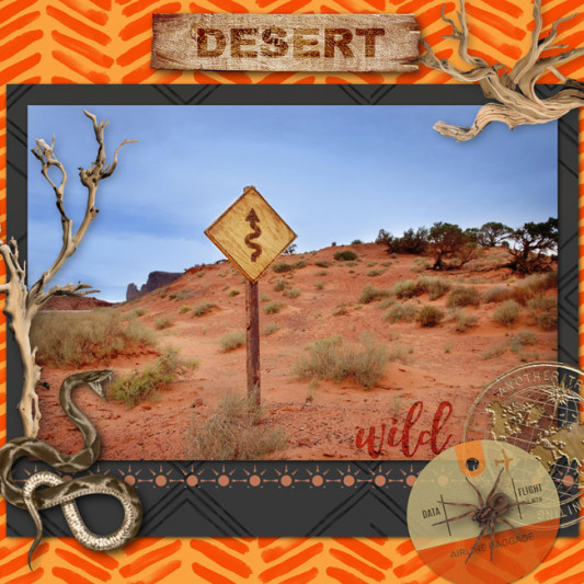 07-arthea-desert