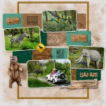 07-larel-safari