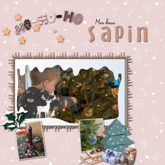 07-moyson-sapin1