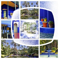 08-cdip-majorelle-web