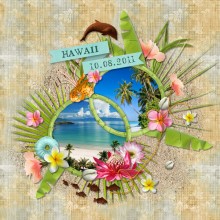 hawaii 2011