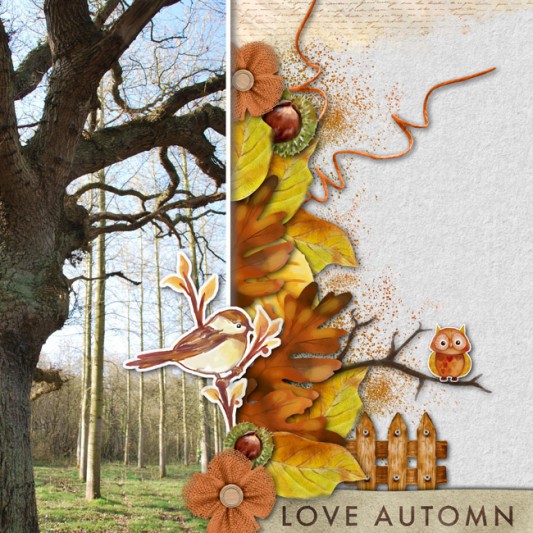 13-yann-love-automn