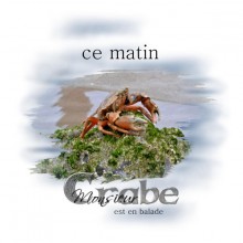 monsieur crabe