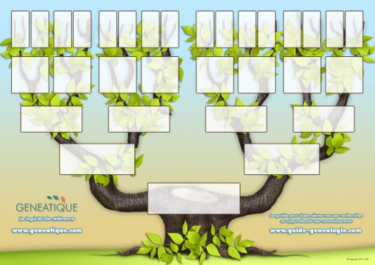 Arbre ascendant 5 générations imprimé A4