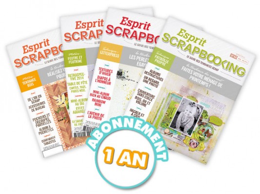 Livres-scrapbooking-Esprit scrapbooking- Abt 1 an   