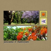 album-zimbabwe-12
