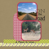 album-zimbabwe-24