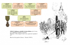 arbre-genealogique-guerres-napoleon