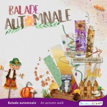 balade-automnale-preview