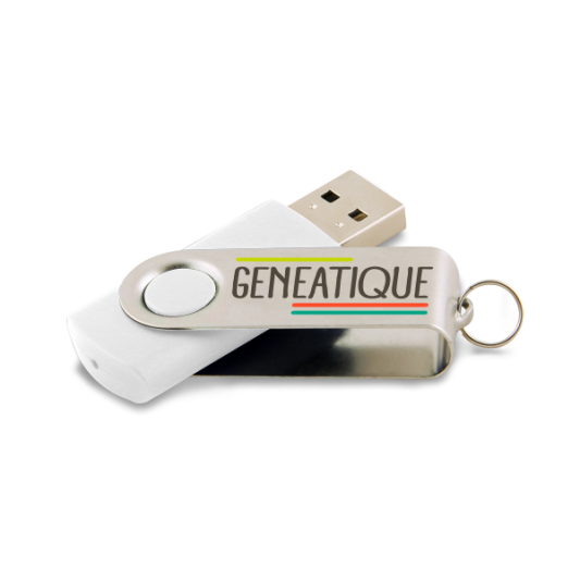 Clé USB Généatique 2017