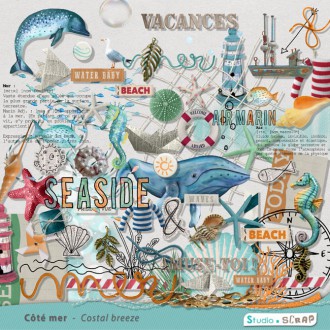 cote-mer-embellissements